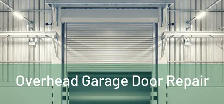  Overhead Garage Door Repair 